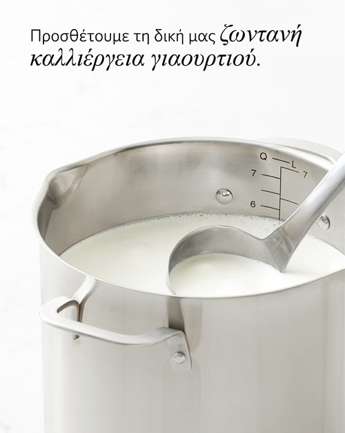 milk in pot